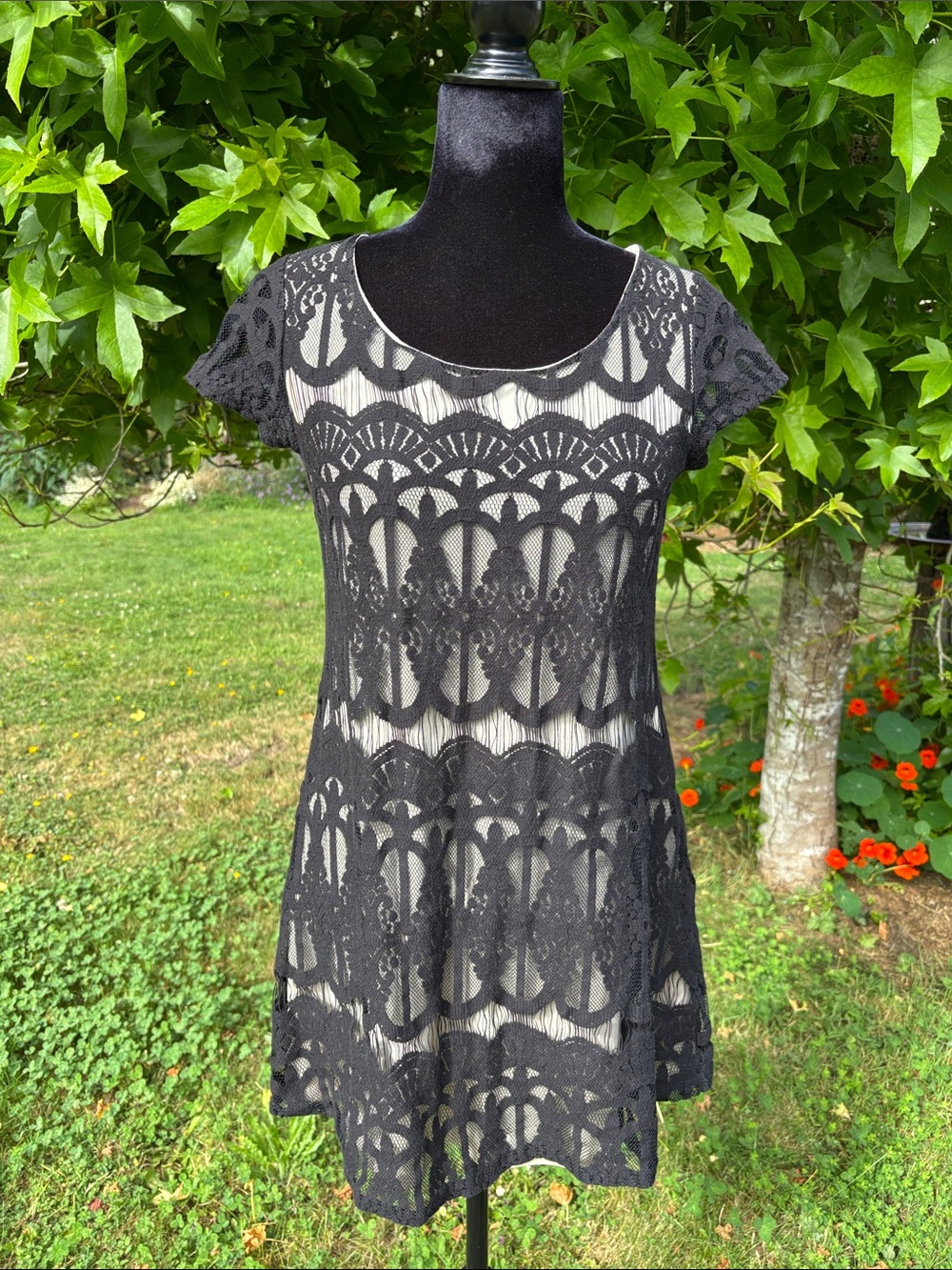 Socialite Black Lace Overlay Dress